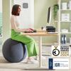 Leitz Ergo Active Sitting Ball with Stopper Function, Ergonomically Designed Desk Chair Alternative, 55cm Diameter, Includes Fabric Ball Cover, Hand Air Pump & 2 x Plugs, Velvet Grey, 65410089 view 2