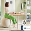 Leitz Ergo Active Sitting Ball, Ergonomically Designed Desk Chair Alternative, 55cm Diameter, Includes Fabric Ball Cover, Hand Air Pump & 2 x Plugs, Ergo Range, Light Grey, 65410085 view 2