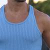 Maiyifu-GJ Men's Summer Crewneck Bodybuilding Vest Knitted Vertical Stripe Workout Tank Top Sleeveless Muscle Training Shirts (Blue,X-Large) view 3