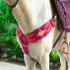 Cheval's International Western Mohair Horse Breast Collar, Handmade Premium Wool & Leather Equestrian Tack, Adjustable, Durable & Comfortable Saddle Breastplate for Horses - Peach/Pink Full view 3