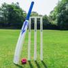 FORTRESS Wooden Cricket Set - Available in 3 Sizes | Kashmir Willow | Size 2, 5 & Full Size (Senior (Full Size)) view 2