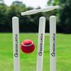 FORTRESS Wooden Cricket Set - Available in 3 Sizes | Kashmir Willow | Size 2, 5 & Full Size (Senior (Full Size)) view 3