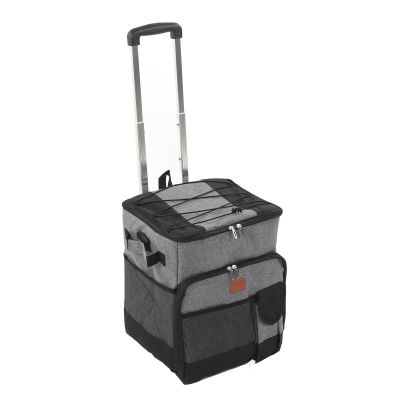 35L Rolling Cooler Bag, Insulated Leakproof Portable Soft Rolling Cooler with Wheels and Handle, Cooler Bag Trolley Box for Beach Camping BBQ