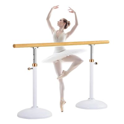 Ballet Barre Heavy Duty Steel Ballet Barre for Children and Adults, Adjustable Height Mobile Dance Pole, Can Bear A Weight of 250kg (Color : Adult Style, Size : 2M/6.6FT)