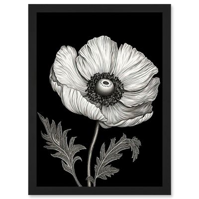 Artery8 White on Black Single Detailed Anemone Flower Artwork Framed Wall Art Print A4