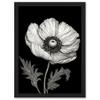 Artery8 White on Black Single Detailed Anemone Flower Artwork Framed Wall Art Print A4 view 1