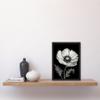 Artery8 White on Black Single Detailed Anemone Flower Artwork Framed Wall Art Print A4 view 2