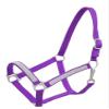 2-Ply Nylon Horse Halter w/Crystal Rhinestones (Purple) view 1