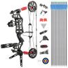 Compound Bow Kit - Stell Ball & Arrows Dual-Purpose Compound Bow, Draw Weight 30-60lbs, Gordon Limbs Made in USA for Archery Outdoor Hunting Target Shooting view 1
