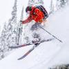 Zipline Blurr EXT MRDW Collection - Adjustable Graphite Composite Ski Poles for Backcountry & All-Mountain, Designed by Gold Medalist David Wise (Mrdw Army Green, 105 cm - 145 cm - Long Handle) view 3
