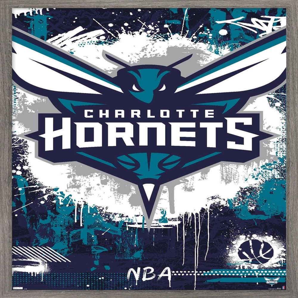 Trends International NBA Charlotte Hornets - Maximalist Logo 23 Wall Poster, 22.4L x 14.7W, Barnwood Framed Version