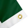 Desert Cactus Colorado State University CSU Flag - 3 x 5 Feet Rams Banner, Indoor/Outdoor Durable Fabric, 100% Polyester Design (Style T) view 4