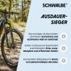SCHWALBE Smart Sam Perf Addix 67EPI 29x2.25 Tire view 4