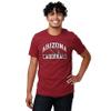 Arizona Cardinals Arched Wordmark Primary Color T-Shirt - XXX-Large view 1