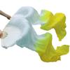 Pulcykp Silk Veils Dance Fans 1Pair Belly Dance Fans Ribs Long Silk Fans 180 * 90Cm Handmade Dance Props as picture7 M view 4