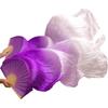 1 Pair 100% Silk Handmade Dyed Fans Veil Women Belly Dance Fans Purple+ Light Purple +White Colors L view 1