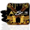 Killshots Cornhole | 357 Series | Limited Edition | 2024 ACL Pro Certified Cornhole Bags | Premium Quality | Dual-Speed | Durable & Weather Resistant | Set of 4 Bags (Gold Pistols) view 1