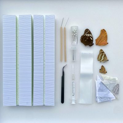 Butterfly Insect Collection Starting kit with Complete Guide Entomology Collection