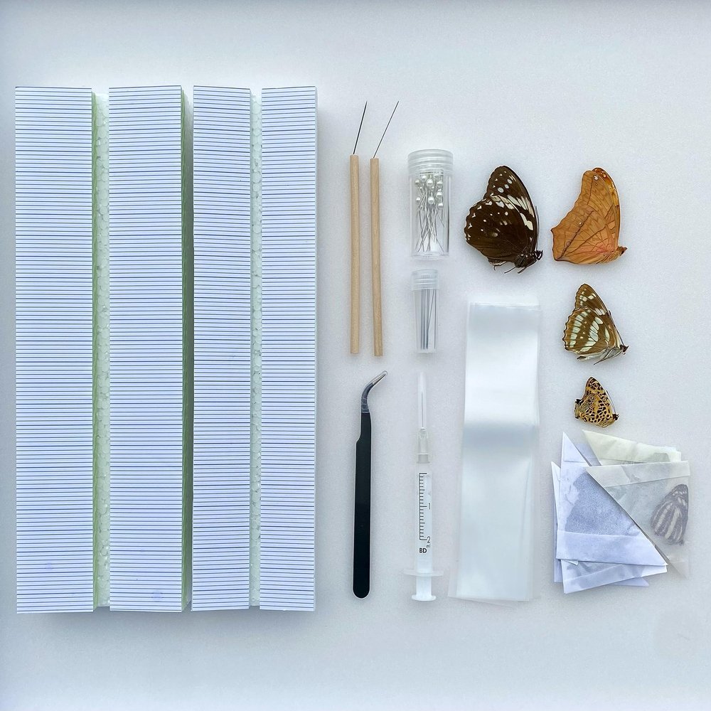Butterfly Insect Collection Starting kit with Complete Guide Entomology Collection