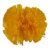 Blaward 2 Pack Cheerleading Pom Poms with Handle Upgrade Fluffy (14.2 inch/200g) Professional Cheerleader Pom Poms for Halloween Holiday Team Spirit Sports Dance Cheering Kids Adults view 1