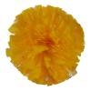 Blaward 2 Pack Cheerleading Pom Poms with Handle Upgrade Fluffy (14.2 inch/200g) Professional Cheerleader Pom Poms for Halloween Holiday Team Spirit Sports Dance Cheering Kids Adults view 2
