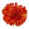Blaward 2 Pack Cheerleading Pom Poms with Handle Upgrade Fluffy (14.2 inch/200g) Professional Cheerleader Pom Poms for Halloween Holiday Team Spirit Sports Dance Cheering Kids Adults view 3