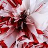 Blaward 2 Pack Cheerleading Pom Poms with Handle Upgrade Fluffy (14.2 inch/200g) Professional Cheerleader Pom Poms for Halloween Holiday Team Spirit Sports Dance Cheering Kids Adults view 4