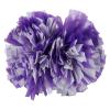 Blaward 2 Pack Cheerleading Pom Poms with Handle Upgrade Fluffy (14.2 inch/200g) Professional Cheerleader Pom Poms for Halloween Holiday Team Spirit Sports Dance Cheering Kids Adults view 1