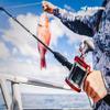 KastKing Kong Fishing Rod, Casting Rod 2 pc 7 M view 2