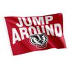 Desert Cactus University of Wisconsin Flag Badgers UW Madison Banners 100% Polyester Indoor Outdoor 3x5 feet Flags (Design A) view 1