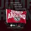 Desert Cactus University of Wisconsin Flag Badgers UW Madison Banners 100% Polyester Indoor Outdoor 3x5 feet Flags (Design A) view 4
