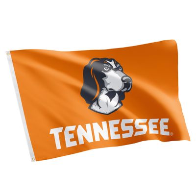 Desert Cactus University of Tennessee Flag Knoxville Volunteers Vols UT Banners 100% Polyester Indoor Outdoor 3x5 feet Flags (Design K)