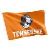 Desert Cactus University of Tennessee Flag Knoxville Volunteers Vols UT Banners 100% Polyester Indoor Outdoor 3x5 feet Flags (Design K) view 1