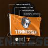 Desert Cactus University of Tennessee Flag Knoxville Volunteers Vols UT Banners 100% Polyester Indoor Outdoor 3x5 feet Flags (Design K) view 4