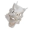 FDIT Latex Sim8ul8ation Dinosaur Skull Mask Cover Halloween Costume Party Prop Decoration