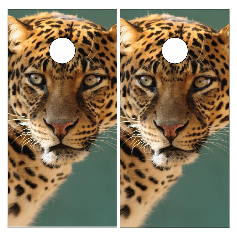 Styubn Cornhole Board Wraps Jaguar Wild Cat Cornhole Skins for Boards,Skin Decal Vinyl Wrap for Cornhole Game Board Bag Toss (2xpcs.)