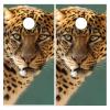 Styubn Cornhole Board Wraps Jaguar Wild Cat Cornhole Skins for Boards,Skin Decal Vinyl Wrap for Cornhole Game Board Bag Toss (2xpcs.) view 1