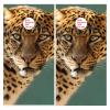 Styubn Cornhole Board Wraps Jaguar Wild Cat Cornhole Skins for Boards,Skin Decal Vinyl Wrap for Cornhole Game Board Bag Toss (2xpcs.) view 2