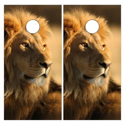 Styubn Cornhole Board Wraps Lion Face Mane Cornhole Skins for Boards,Skin Decal Vinyl Wrap for Cornhole Game Board Bag Toss (2xpcs.)