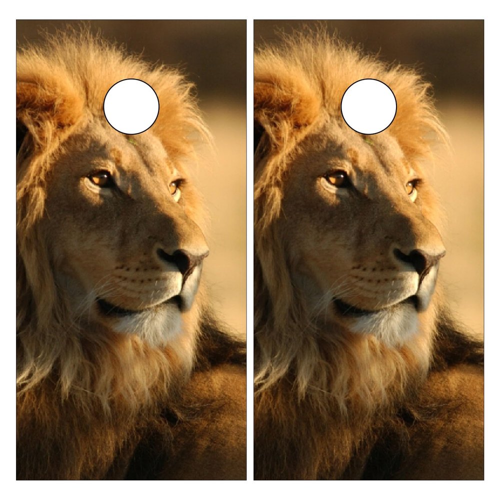 Styubn Cornhole Board Wraps Lion Face Mane Cornhole Skins for Boards,Skin Decal Vinyl Wrap for Cornhole Game Board Bag Toss (2xpcs.)