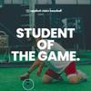 Applied Vision Sports Plastic Training Mini Baseballs. view 3