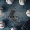 BESPORTBLE Baseball Softball Gear Hanger Hooks for Gloves Bats and Helmets Portable Organizer for Outdoor Sports Equipment for Players and Fans view 4