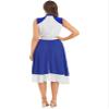 JanJean Lyrical Dance Dress for Women Color Block Chiffon Patchwork Performance Costume Praise Dress Tunic Royal Small view 4