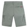Cargo Shorts view 2