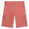 Cargo Shorts view 2