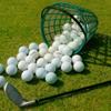 VANZACK Golf Ball Basket - Plastic Storage Holder with Handle, Holds 50 Balls for Range Practice, Portable Bucket & Golf Accessories (Green) view 2