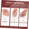FOMIYES 3pcs Professional Piercing Ear Model Fake Ears Practice Tool Beauty Shop Display view 3
