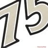 G3 Boat Decal 73404715 | V175 FS 10 5/8 x 2 1/4 Inch Silver Black view 2