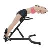 EurHomePlus Back Extension Roman Chair, AB Machine Adjustable Lengths & Angles Sit up Bench, Hip Thrust Machine, Multi-Functional Bench for Full All-in-One Body Workout view 1