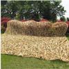 ELZEM 150D Camouflage Shade Cloth, Military Camo Shade Sail, Sunscreen Breathable Shade Netting, 1x1m 1.5x2m 2x3m 3x4m 4x5m 5x6m 6x8m 8x8m 10x15m 12x15m Large Camouflage Net(4x7m/13.1x22.9ft) view 4